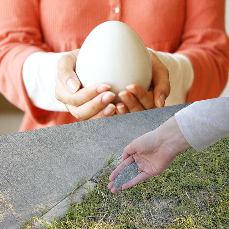 イヤシロチ事業